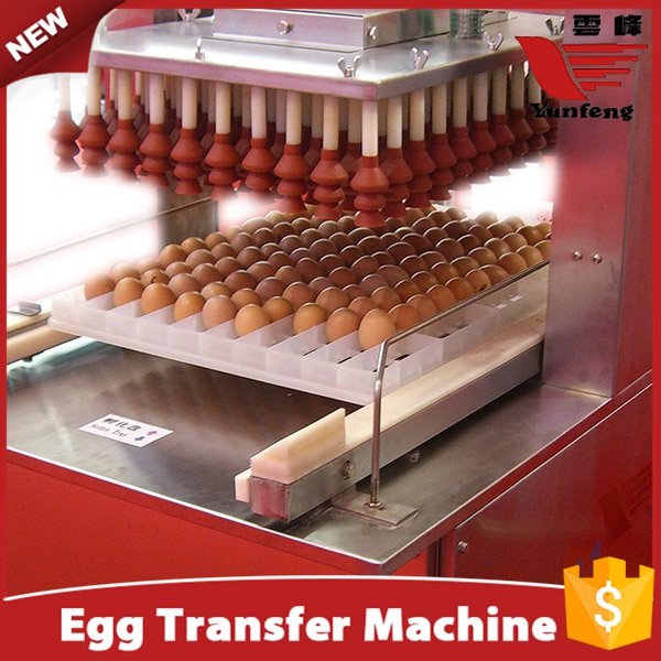 LED Egg Candling Table and Transfer Machine