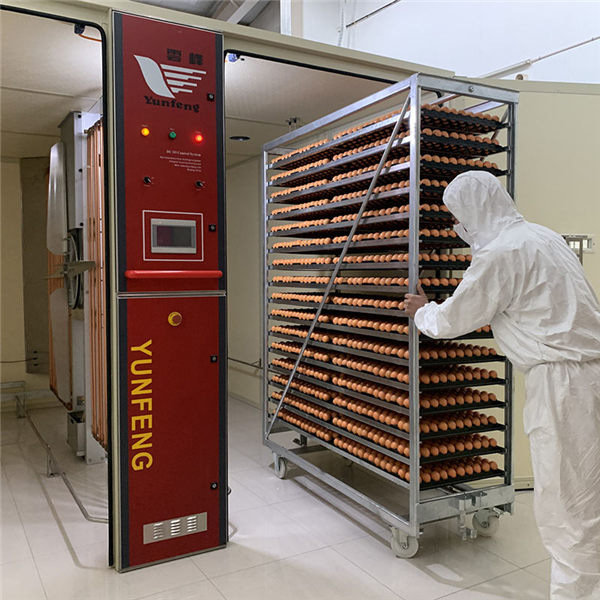 S-Line 38400 Egg Incubator