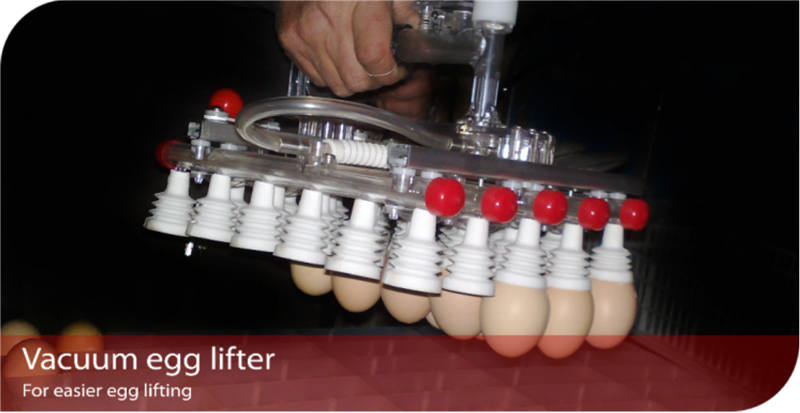 1630302351177970.jpg egg lifter-1.jpg